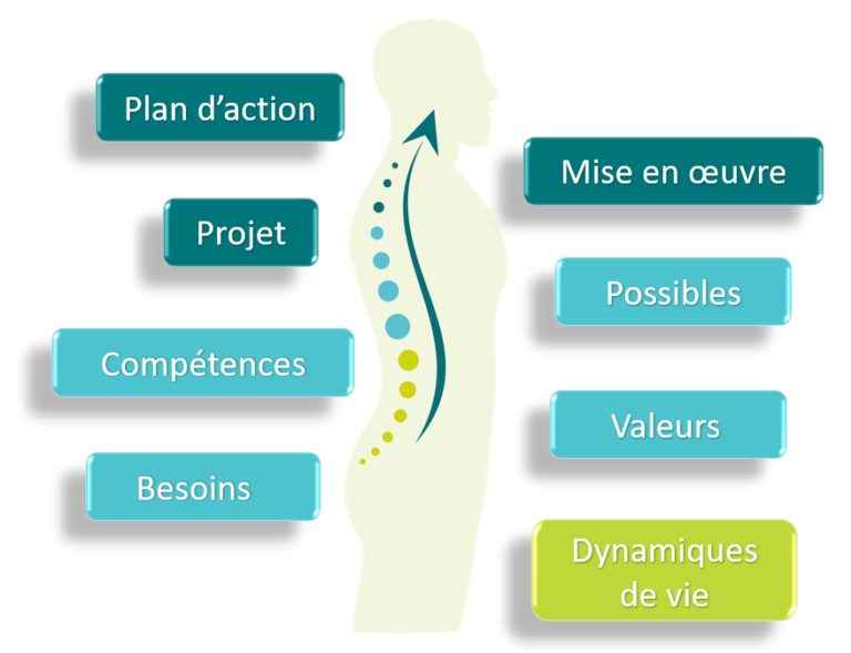 La méthode de l'alignement professionnel constitue l'ossature de votre bilan de compétences