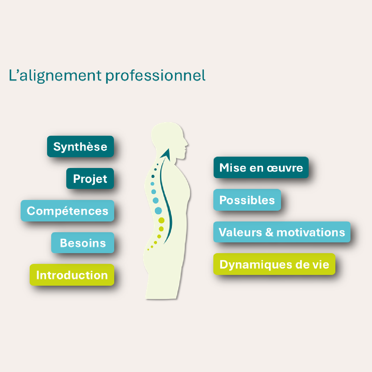 L'alignement professionnel