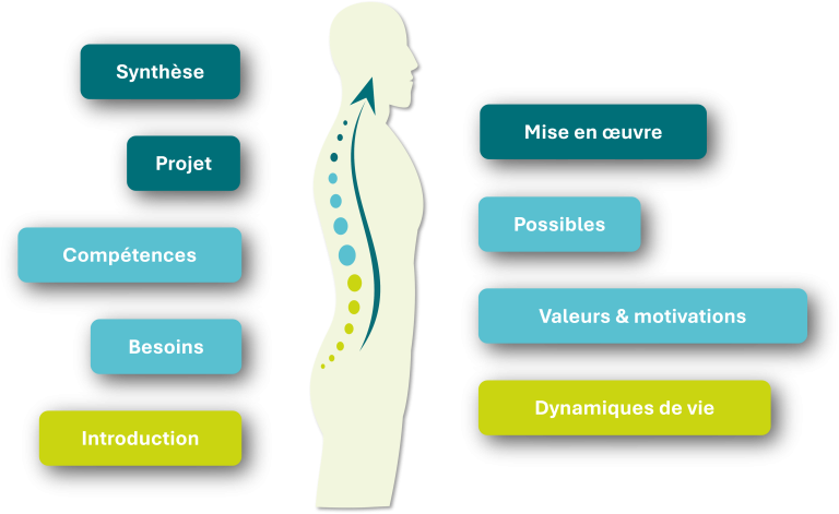 L'alignement professionnel avec Check-Up Pro